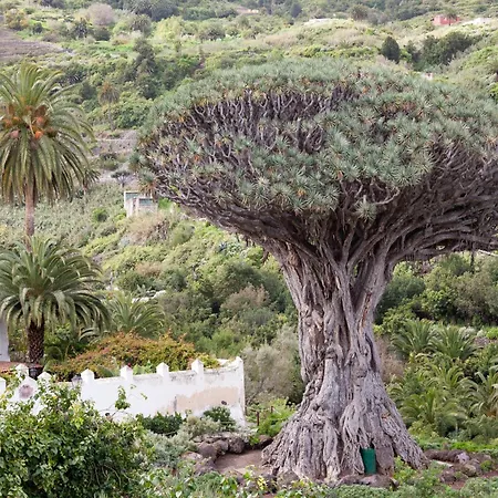 Tenohomes Sunny Terrace & Private Pool Сasa de vacaciones *