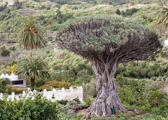 Tenohomes Sunny Terrace & Private Pool Сasa de vacaciones *